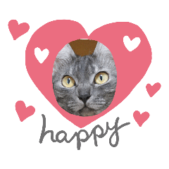 [LINEスタンプ] 兄妹にゃんず3