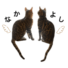 [LINEスタンプ] あるれおすたんぷ2