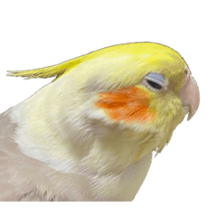 [LINEスタンプ] うちのカワイイちびっこたちPart14