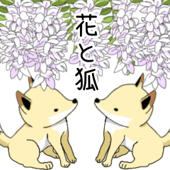 [LINEスタンプ] 花と狐