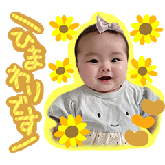 [LINEスタンプ] ひまわりこ