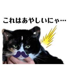 [LINEスタンプ] にゃんごろごろごろスタンプ。