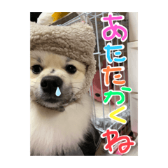 [LINEスタンプ] なるとのスタンプ 第三弾！！！