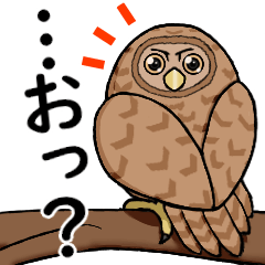 [LINEスタンプ] タマゴフクロウ たまふく