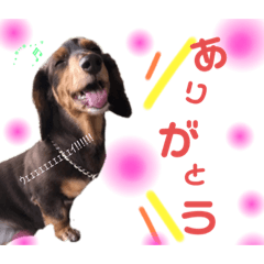 [LINEスタンプ] タロakaぐっち