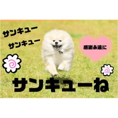 [LINEスタンプ] なるとのスタンプ第4弾！！！