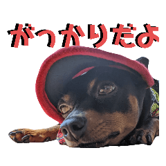 [LINEスタンプ] 名犬サクちゃん8