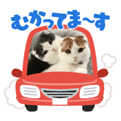 [LINEスタンプ] ラブリースコティッシュ