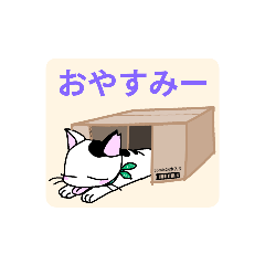 [LINEスタンプ] から草猫のマロン