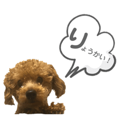 [LINEスタンプ] トイプードル☆ルゥ