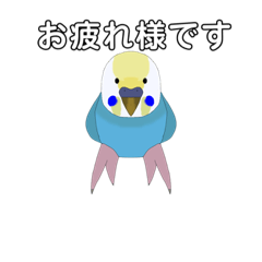 [LINEスタンプ] フレッシュ＆インコ＆セキセイインコ