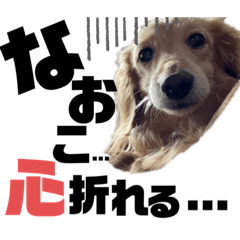 [LINEスタンプ] らぶぞぅ24