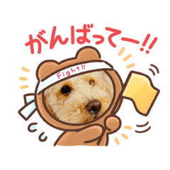 [LINEスタンプ] ジョーさん家のイッヌ2