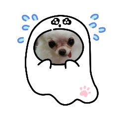 [LINEスタンプ] おばけのお千代と仲間達