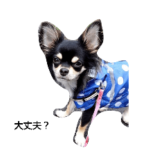 [LINEスタンプ] 犬のチョコ君8❤