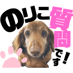 [LINEスタンプ] らぶぞぅ25
