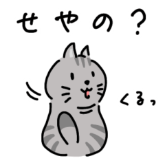 [LINEスタンプ] ひょうきんなねこたぬきスタンプ