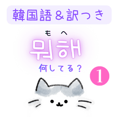 [LINEスタンプ] 使いやすい韓国語ねこ1（ハングル＆訳）