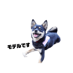 [LINEスタンプ] らむねの日常