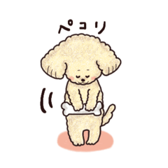 [LINEスタンプ] トイプードル•コタローの癒されEveryDay