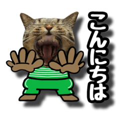 [LINEスタンプ] 猫(キジトラ)日常で使える可愛いスタンプ10