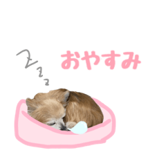 [LINEスタンプ] いんぬお2人