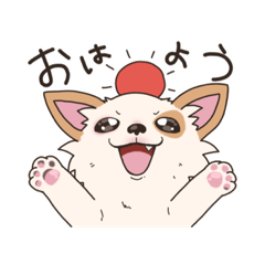 [LINEスタンプ] チワワのルカくん