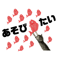 [LINEスタンプ] 今日のしらたま