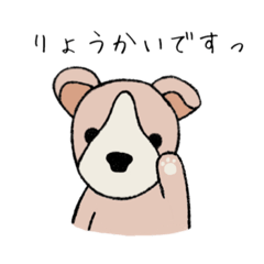 [LINEスタンプ] コーギーのコーちゃんスタンプ