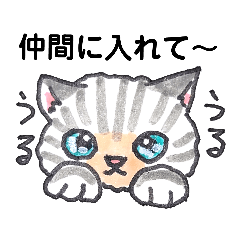 [LINEスタンプ] 猫ちゃん達のグループラインスタンプ