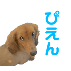 [LINEスタンプ] まるとれおのほのぼのちっく