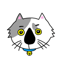 [LINEスタンプ] 可愛い猫 てん1