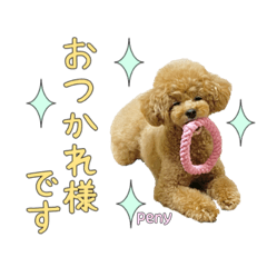 [LINEスタンプ] ペニ子☆スタンプ0623