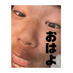[LINEスタンプ] 飛び出せ！光の森！
