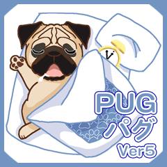[LINEスタンプ] Pug パグ VER5（写真に貼れる)