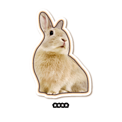 [LINEスタンプ] ラテウサギ