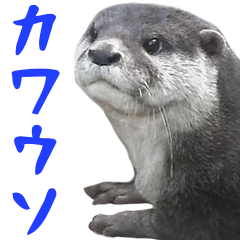 [LINEスタンプ] 飛び出す！カワウソと動物の仲間たちの画像（メイン）