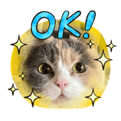 [LINEスタンプ] ブリの花組