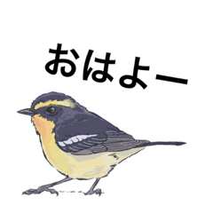 [LINEスタンプ] ことりのスタンプ 1