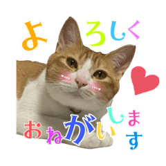 [LINEスタンプ] うちの3姉妹ぷらすYUZU