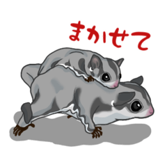 [LINEスタンプ] フクロモモンガのいる生活②