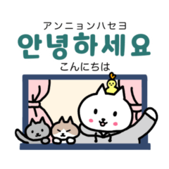 [LINEスタンプ] 猫のわかびと韓国語