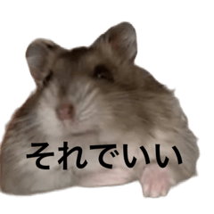 [LINEスタンプ] 前向きなミッシェル