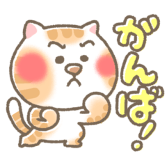 [LINEスタンプ] ねこ ねこ ねこだらけ 第二弾