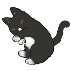 [LINEスタンプ] スイにゃんこの毎日