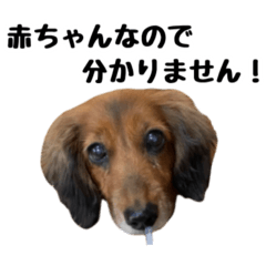 [LINEスタンプ] うきうきココ助の画像（メイン）