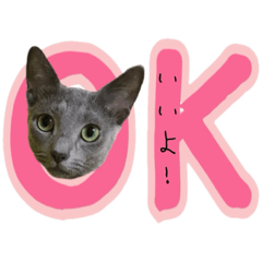 [LINEスタンプ] 3匹の猫のスタンプ2