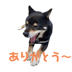 [LINEスタンプ] ハオスタンプ⑦