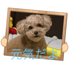 [LINEスタンプ] ワンコ日記1