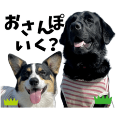 [LINEスタンプ] ちゃちゃ＆るあん